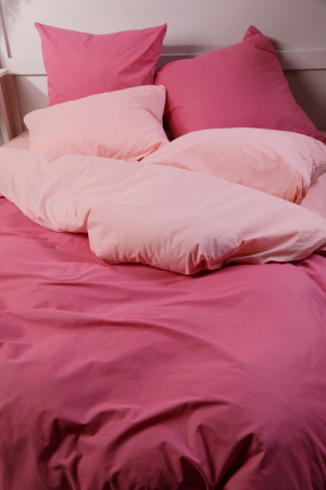 c7313e25-b758-4888-84bb-75957a0b61ed